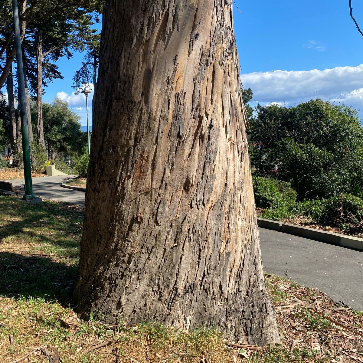 Marco Hein @marcoyannic.bsky.social tweet media