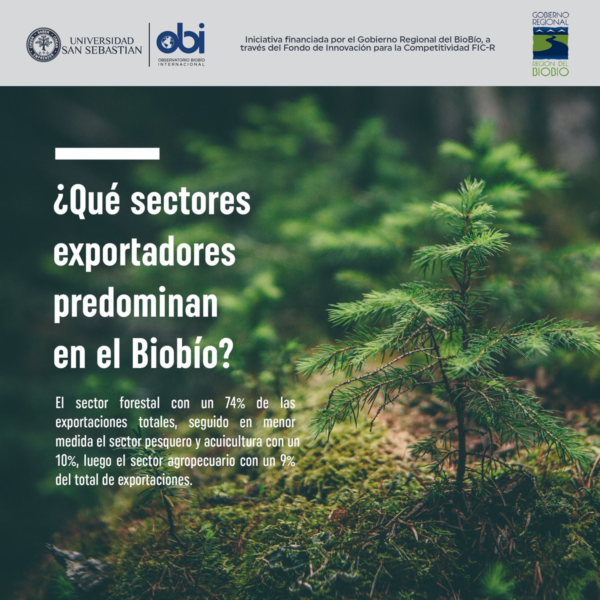 En nuestra región exportamos una gran variedad de productos pues tenemos dos importantes puertos comerciales, el de Coronel y el de Talcahuano. 

¿Sabías que casi 1/3 de nuestras exportaciones corresponden al sector forestal? 🌲

#exportaciones #gobiernoregionaldelbiobio #ficuss