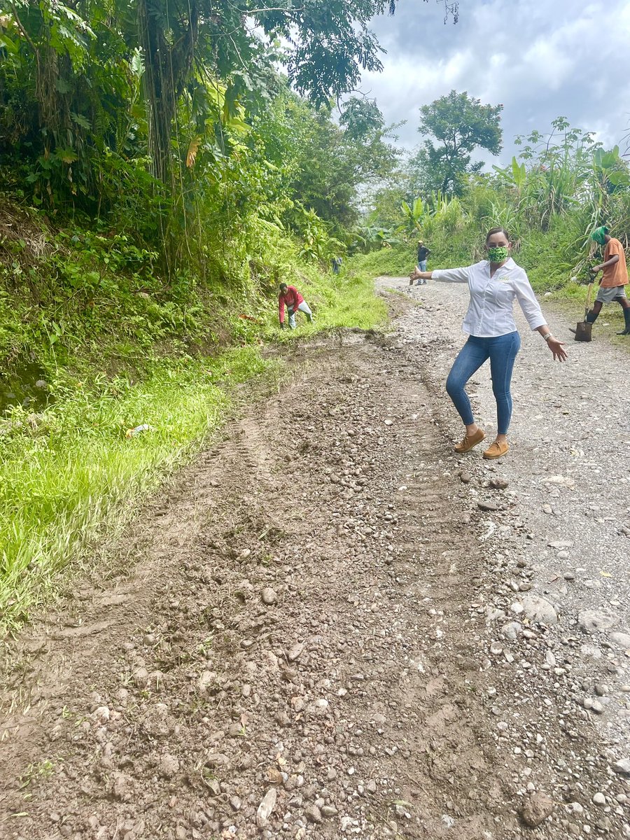 annmarievazja's tweet photo. #MondayAction
Today the #ActionTeam visited #Bellevue where, thanks to #NWA temporary mitigation work on the road began last week. Work Include major drain cleaning,  shingling, grading &amp; compressing the road surface. 1/3 https://t.co/SnRFomNtEx