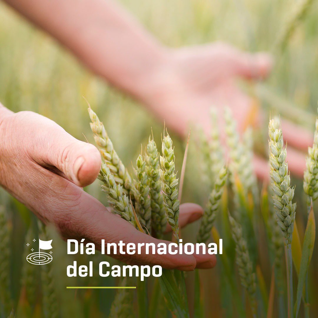 Amauta Agro tweet media