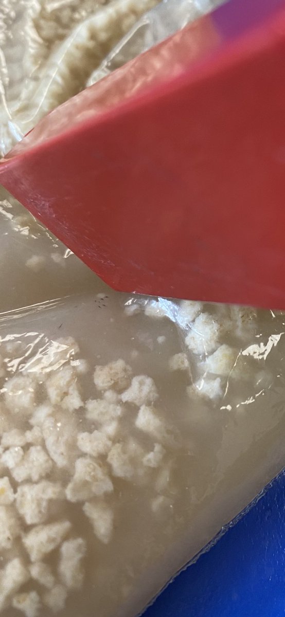 Nicole Echtner tweet media