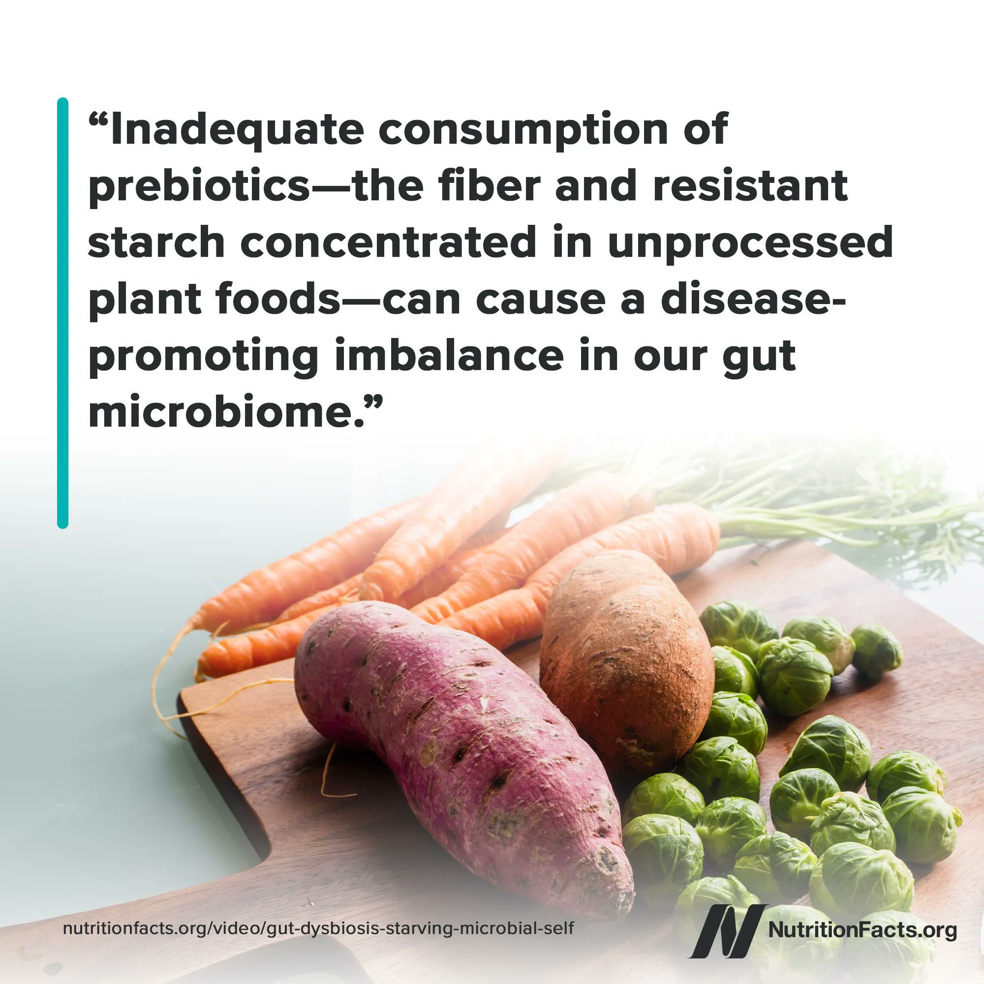 Michael Greger, M.D. on Twitter "Fiber is what our good gut bacteria thrive on, their fuel
