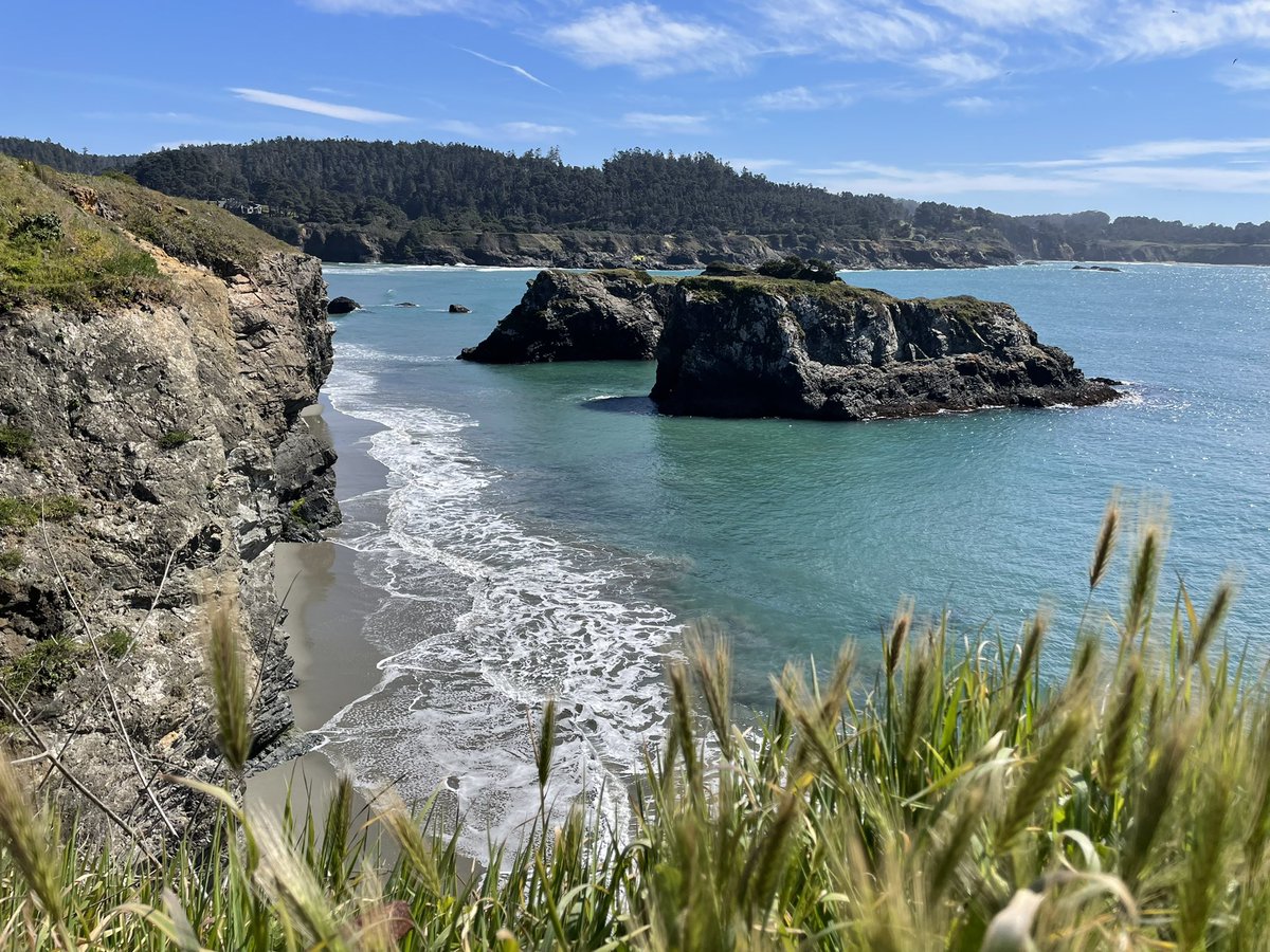 Mendocino Headlands State Park. 