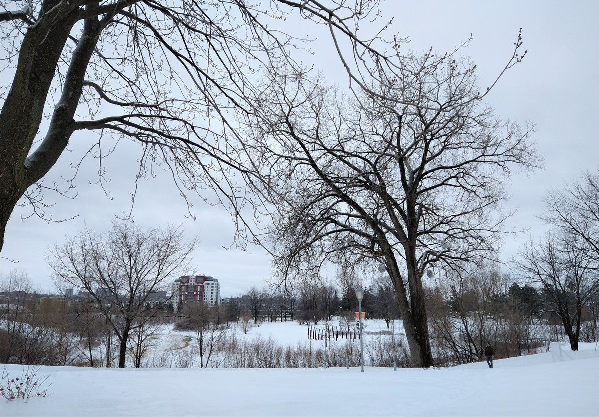 DLVisionMode's tweet image. Cette intrigante sculpture intitulée Chrysalis est l&apos;oeuvre de l&apos;artiste américain Mark Jenkins et est visible dans le parc Cartier-Brébeuf dans le cadre de la Manif d&apos;Art : Les illusions sont réelles #Quebec #manifdart #parccartierbrebeuf