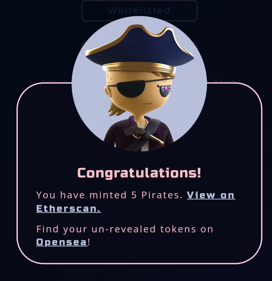 mistanoonz's tweet photo. Got my @PiratesMeta minted today let's go!! https://t.co/6Q45qpyKMF