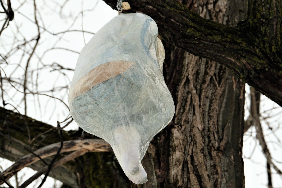 DLVisionMode's tweet image. Cette intrigante sculpture intitulée Chrysalis est l&apos;oeuvre de l&apos;artiste américain Mark Jenkins et est visible dans le parc Cartier-Brébeuf dans le cadre de la Manif d&apos;Art : Les illusions sont réelles #Quebec #manifdart #parccartierbrebeuf