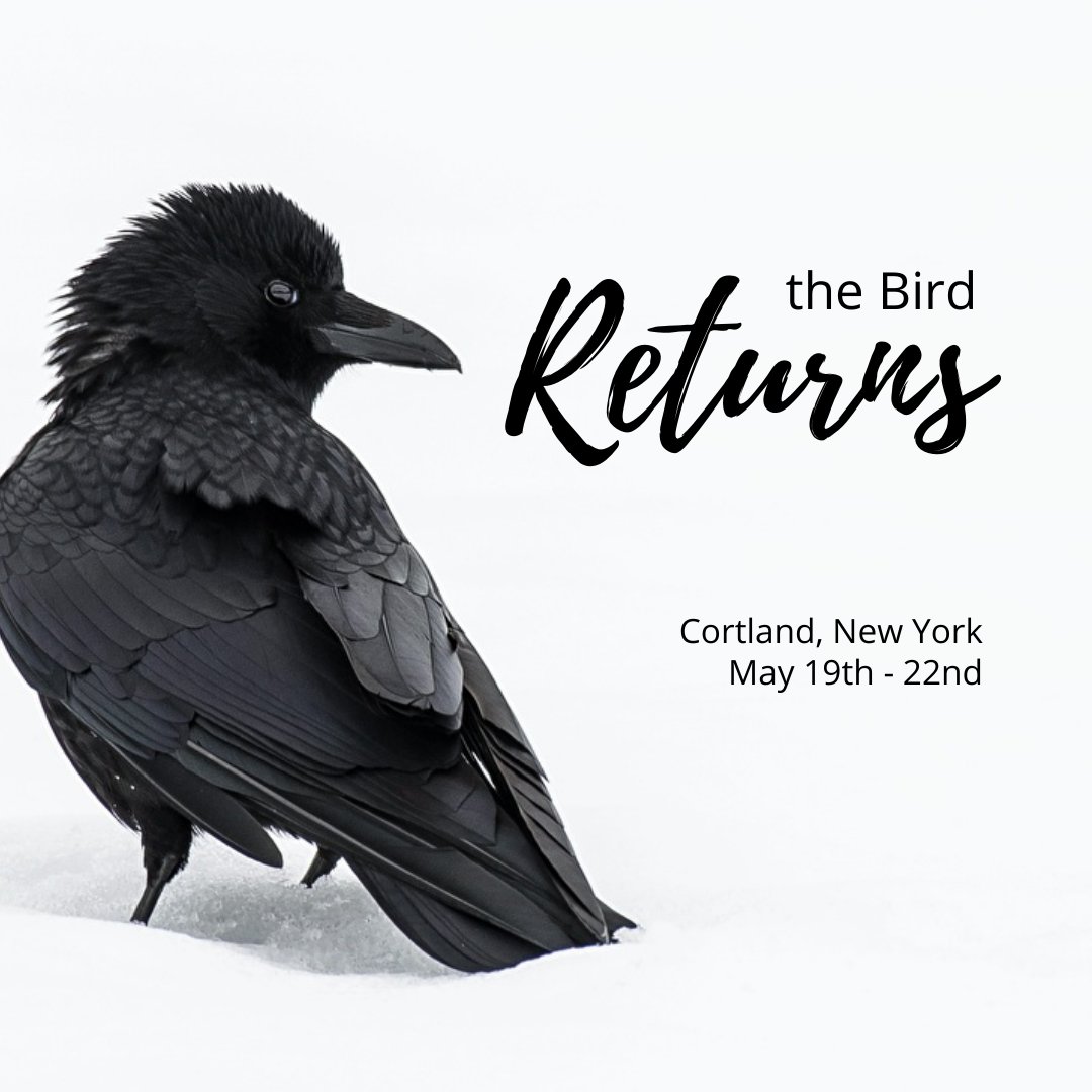 📣 THE BIRD RETURNS - It's been a long winter but the wait is over! Blackbird 2022 returns May 19th - 22nd in Cortland, NY #Cortland #Blackbird #FilmFestival