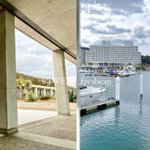 ツイートに含まれる画像