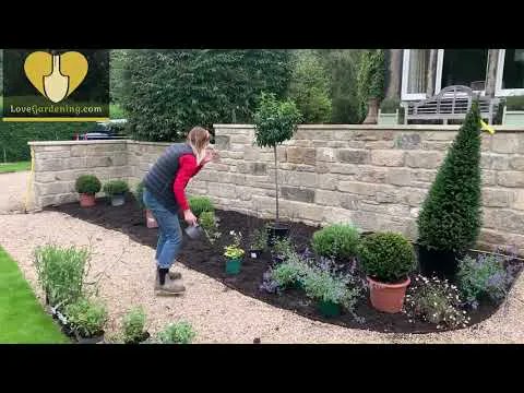 Katie Rushworth (@katie_gardens) on Twitter photo Click here to see a video I’ve created alongside <a href="/Lovegardening2/">LoveGardening</a> on how to plant a new bed from scratch! In this video I create a formal plant bed and mirror the symmetry of the Victorian House behind it to compliment my planting! 🏡🌳
youtube.com/watch?v=gbt_LV… Click here to see a video I’ve created alongside <a href="/Lovegardening2/">LoveGardening</a> on how to plant a new bed from scratch! In this video I create a formal plant bed and mirror the symmetry of the Victorian House behind it to compliment my planting! 🏡🌳
youtube.com/watch?v=gbt_LV…