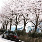 ツイートに含まれる画像