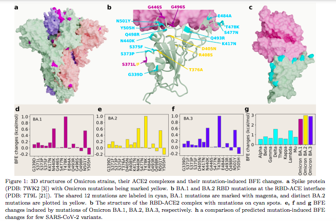 1/ Omicron: BA2, Alarming new study shows BA2 may lead to '27x increase in vaccine-breakthrough capabilities': '30% more capable' to escape vaccines. 4.2x more contagious than Delta—20x more infectious than original strain &amp; has 28 'distinct mutations'...
