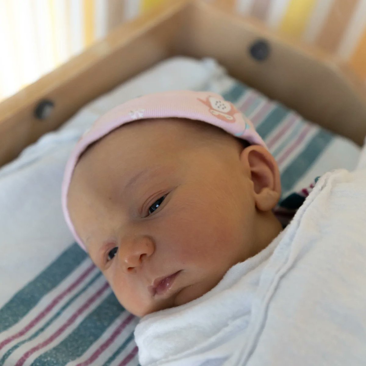 MelissaDVerwey's tweet photo. Introducing the love of our life, Astrid Ryker VDV. She has been melting our hearts every single moment since her birth on March 1st, 2022.💕⁠
⁠
We can't wait for Astrid to meet everyone, and for her to melt your hearts as well! ❤⁠
⁠
Stay tuned for more adorable photos! https://t.co/Mw2hKtODvw