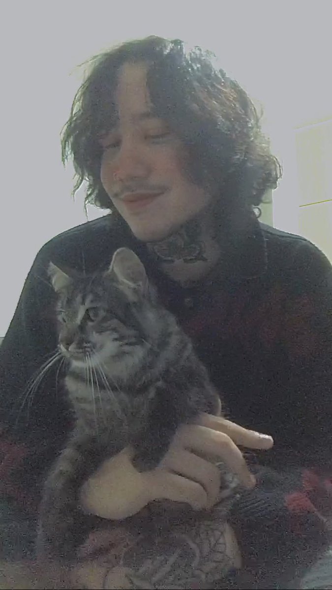 gabriel rod tweet media