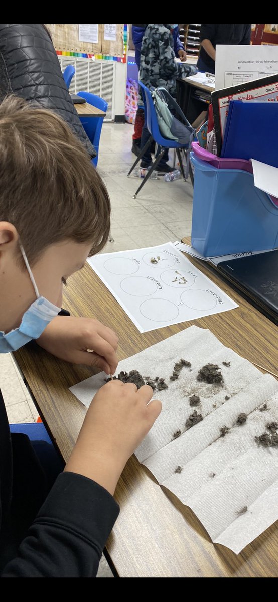 Suzanne Webster tweet media