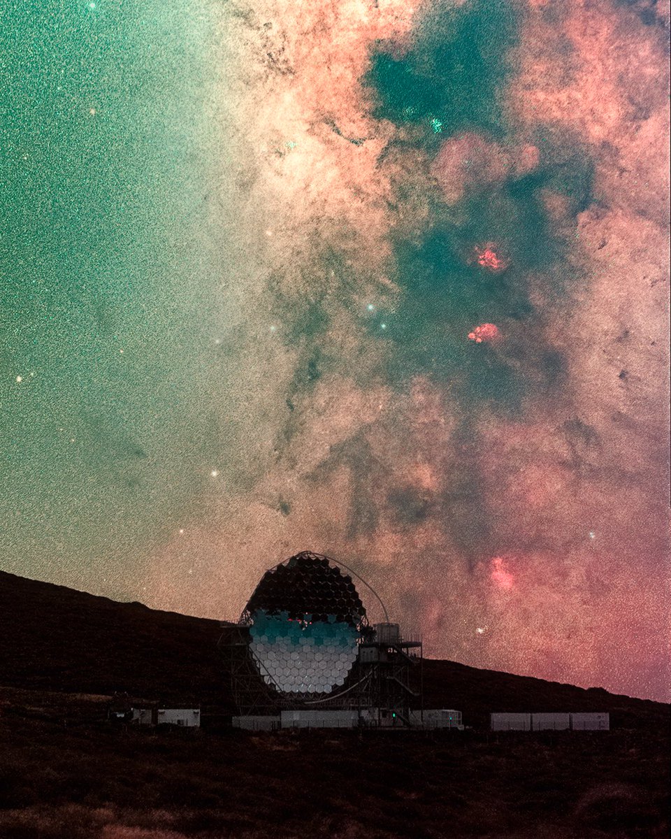 Marina Prol tweet media