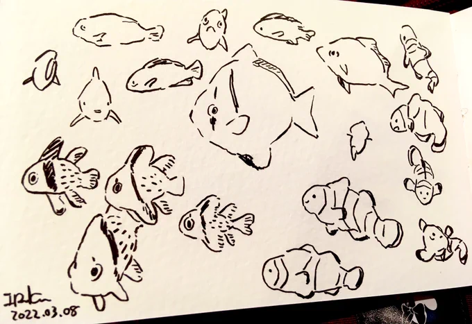 Sketching of fishes in aquarium at mental clinic. 