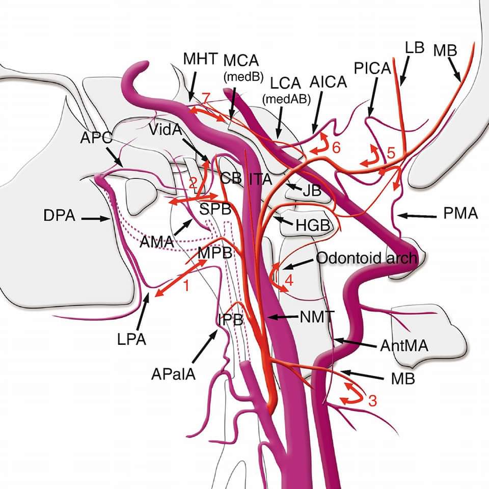 Neurosurgery Cocktail (@bipinchaurasia_) on Twitter photo 