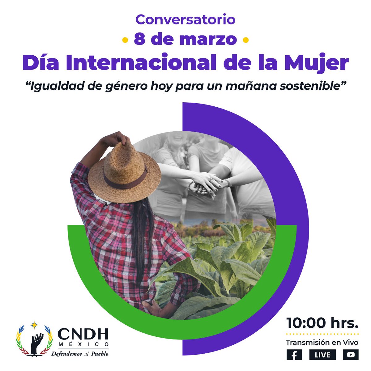 CNDH's tweet photo. ¡No te pierdas el Conversatorio “Igualdad de género hoy para un mañana sostenible” en conmemoración del #DíaInternacionalDeLaMujer, con la participación de la Mtra. @RosarioPiedraIb, Presidenta de la CNDH!

🗓️ martes 8 marzo
⏰10 hrs

#8M
#DefendemosAlPueblo https://t.co/eycbPhiXd7