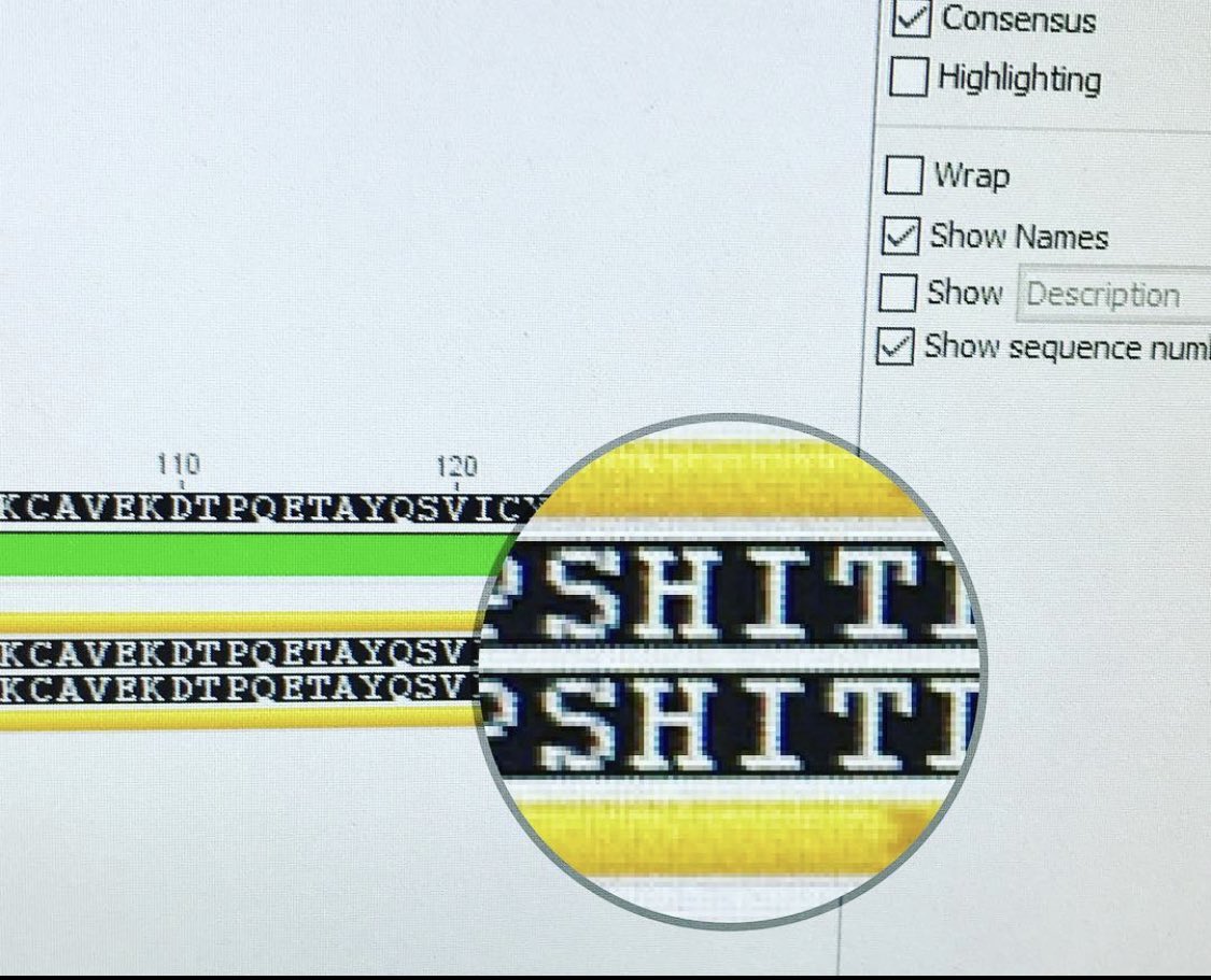 Dr. Beccles tweet media