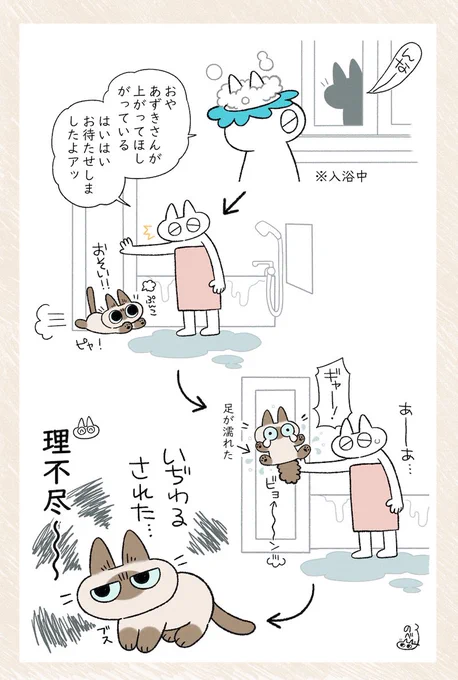 そっちが飛び込んできたんだぞ #シャム猫あずきさんは世界の中心 