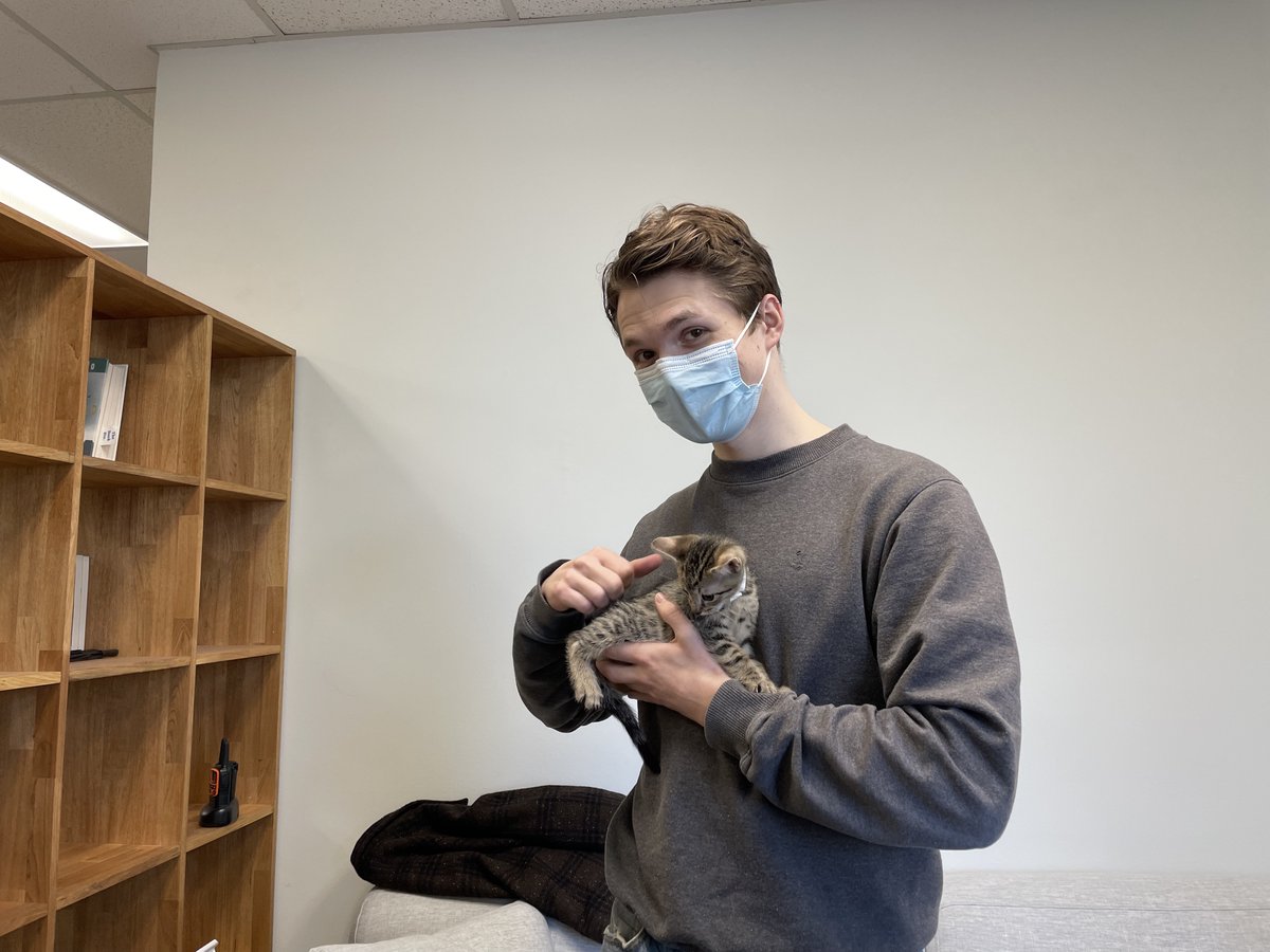 sysedtweets's tweet photo. Thank you @OregonHumane for the incredible #SnuggleExpress! We loved the puppies and kittens โค๏ธ ๐ถ ๐ฑ https://t.co/vyec7kxH9a