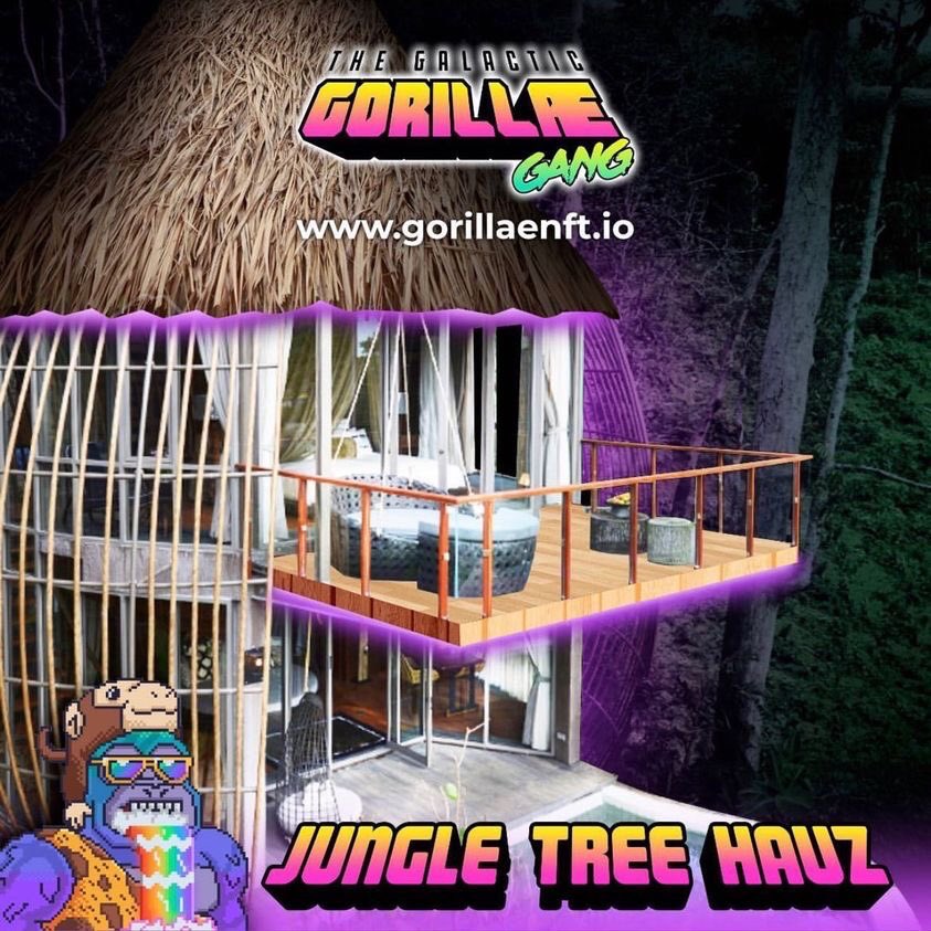 deaththrashtv's tweet photo. 1000% it’s the @GorillaeNFT 
.
TAP INTO THE #GorillaeGang 💚💚
.
Tons of utility!! 🦍 💚
.
I’m TAPPIN IN ! 
They gave me a Devil HORNED #GorillaeNft 
PERFECT FOR THE #NFTDevil 😈
#Solana 
#Nfts https://t.co/RnMZFppIx6