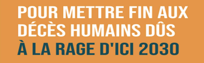 Rabies Free Burkina Faso tweet media