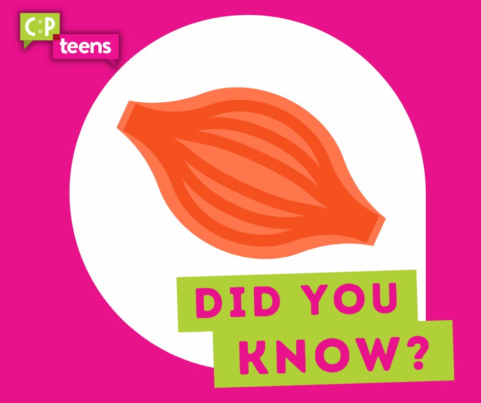 Did you know?

Cerebral Palsy effects muscles from big to small. Cerebral Palsy distorts messages from the brain to cause increased muscle tension (called hypertonus) or reduced muscle tension (called hypotonus).

#CerebralPalsyAwarenessMonth