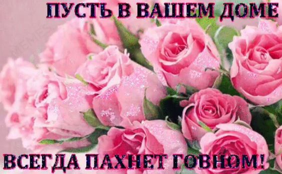 PNeformalka's tweet photo. #феминизм #радфем #либфем с большым уважением: https://t.co/4C9pZ3l8ag
