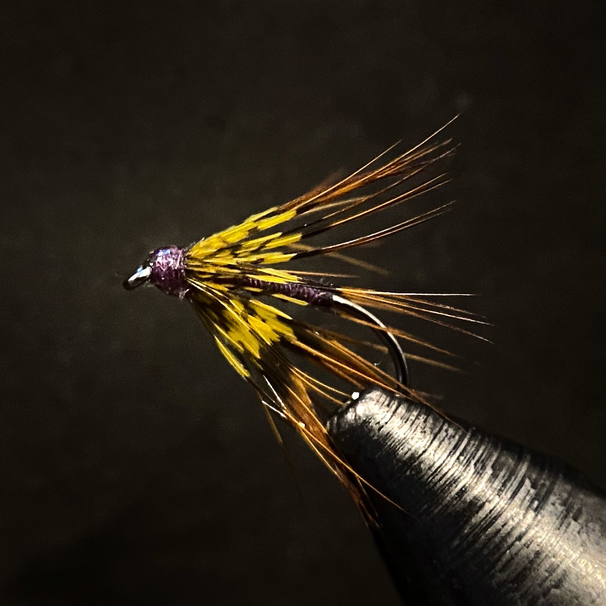 notonlytrout's tweet photo. Throwing a feather and @semperfli silk together and making a fly that makes me feel fancy.
#NotOnlyTrout #flytying #flyfishing #semperfli #moonlit #softhackle https://t.co/aD37jDY3Rd