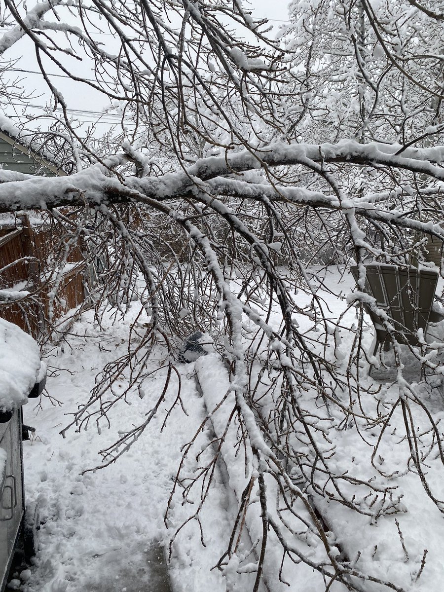 I have the best team on the planet. A huge tree fell on my house and took our my power. When my SM heard the power company wouldn’t do anything until the tree was removed, he sent people to help. I can’t thank you all enough!