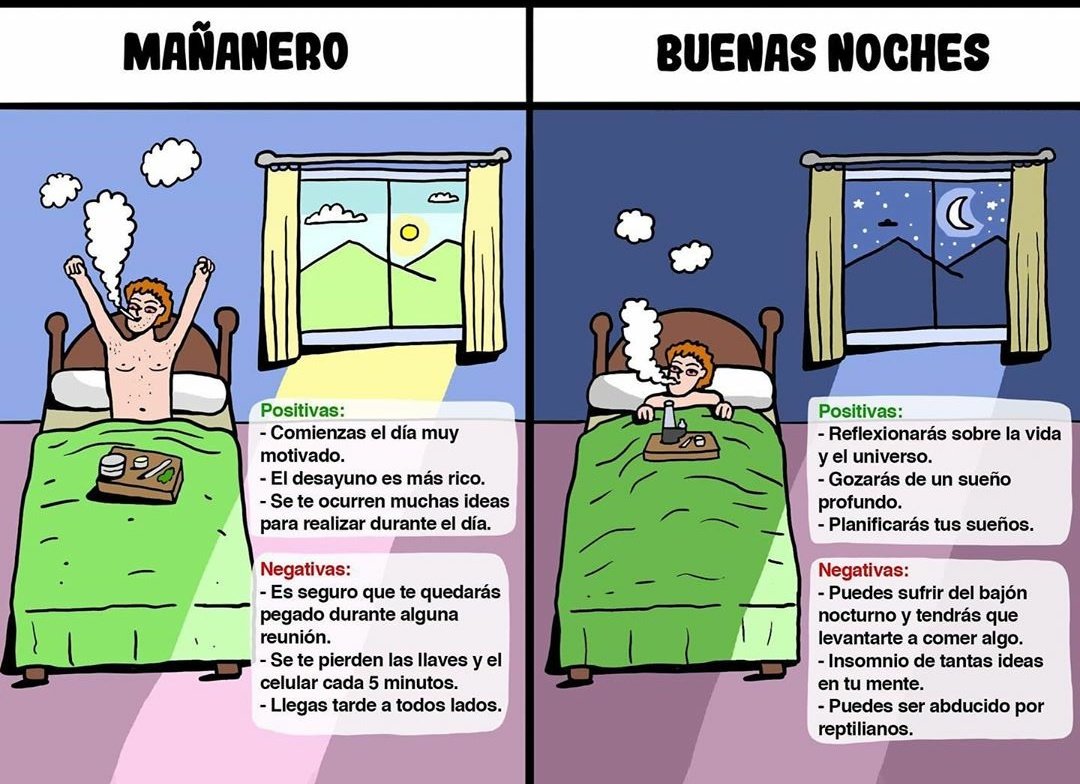 Cuál prefieren?