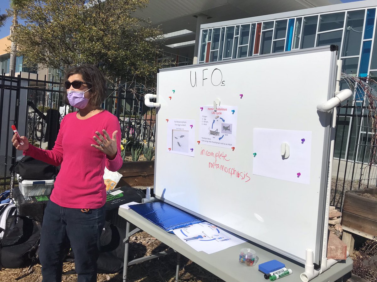 FourFiveD39C's tweet photo. The amazing Dr. Susan Ross in the garden volunteering her time to teach our learners about UFO’s - Unusual Flying Organisms 🐞🐛🦋🪲🪳@Design39Campus https://t.co/6L7xJ3bp7r