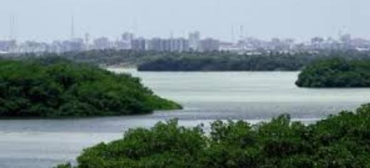 Laguna de Las Peonías sólo tiene 60 centímetros de profundidad en toda su extensión. Conocerán la laguna de las Peonías que fue bautizada con ese nombre por los indígenas wayúu de la zona, a propósito de las semillas de colores rojo y negro que son expulsadas por los manglares
