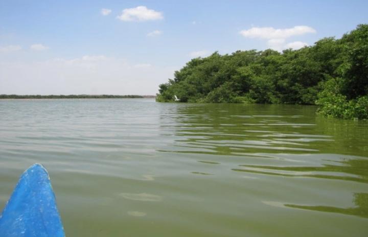 Cerca está Complejo Científico Cultural y Turístico “Simón Bolívar” con actividades educativas, científicas, deportivas y recreativas en instalaciones como El Planetario, la Sala de Exposición Arqueológica, el parque infantil con piscina y el centro de canotaje y deportes náutico