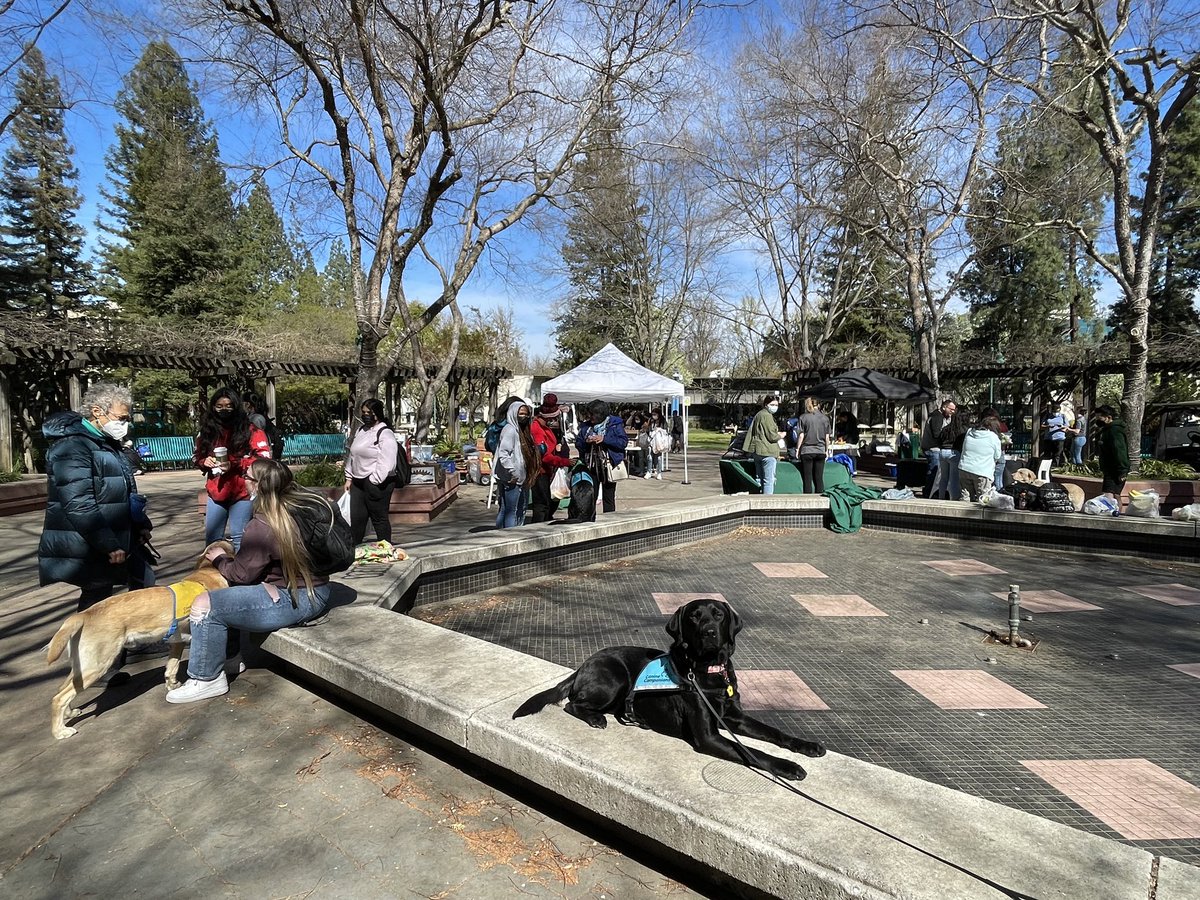 Thank you <a href="/sacstate/">Sacramento State</a> for having <a href="/canineorg/">Canine Companions®</a> therapy dogs on campus today!