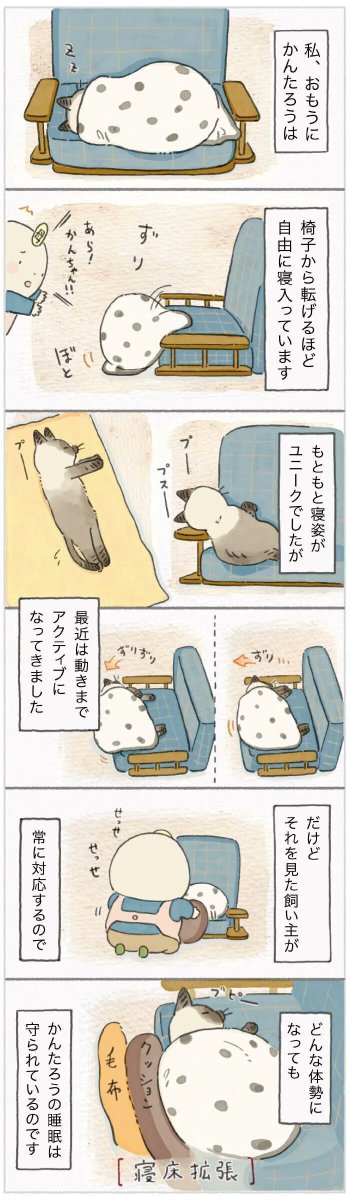 猫の安眠を守るのが飼い主のつとめ「寝相が悪い?自由なだけです!」【連載】ねこ連れ草 217話め|ねこのきもちWEB MAGAZINE https://t.co/q3gIjIRHz8