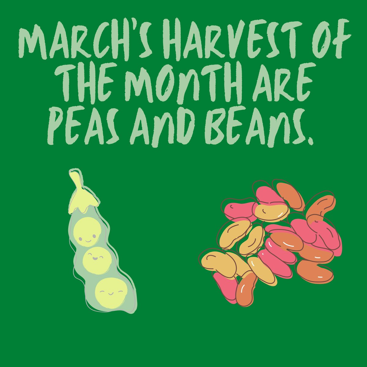 SFUSDBeWell's tweet photo. #SFUSDWellnessPolicy #WeAreSFUSD #BeWell #HarvestOfTheMonth https://t.co/wtDLC3pCMb