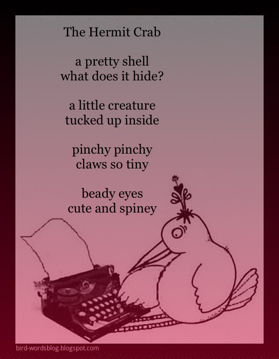 BoxPoem's tweet image. the #hermit #crab