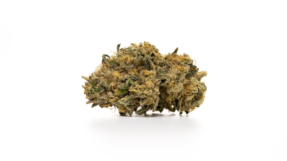 _THCDesign's tweet image. Wedding Cake is an Indica-dominant hybrid cross of Girl Scout Cookies and Cherry Pie. Its odor has a hint of vanilla but it has a tart, creamy flavor with an earthy, peppery finish. It  offers hazy, relaxed, euphoric effects and is a suitable strain for relieving pain. #THCDesign