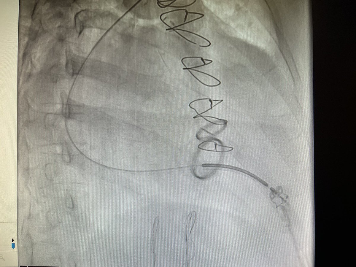 Kris Heinzman tweet media