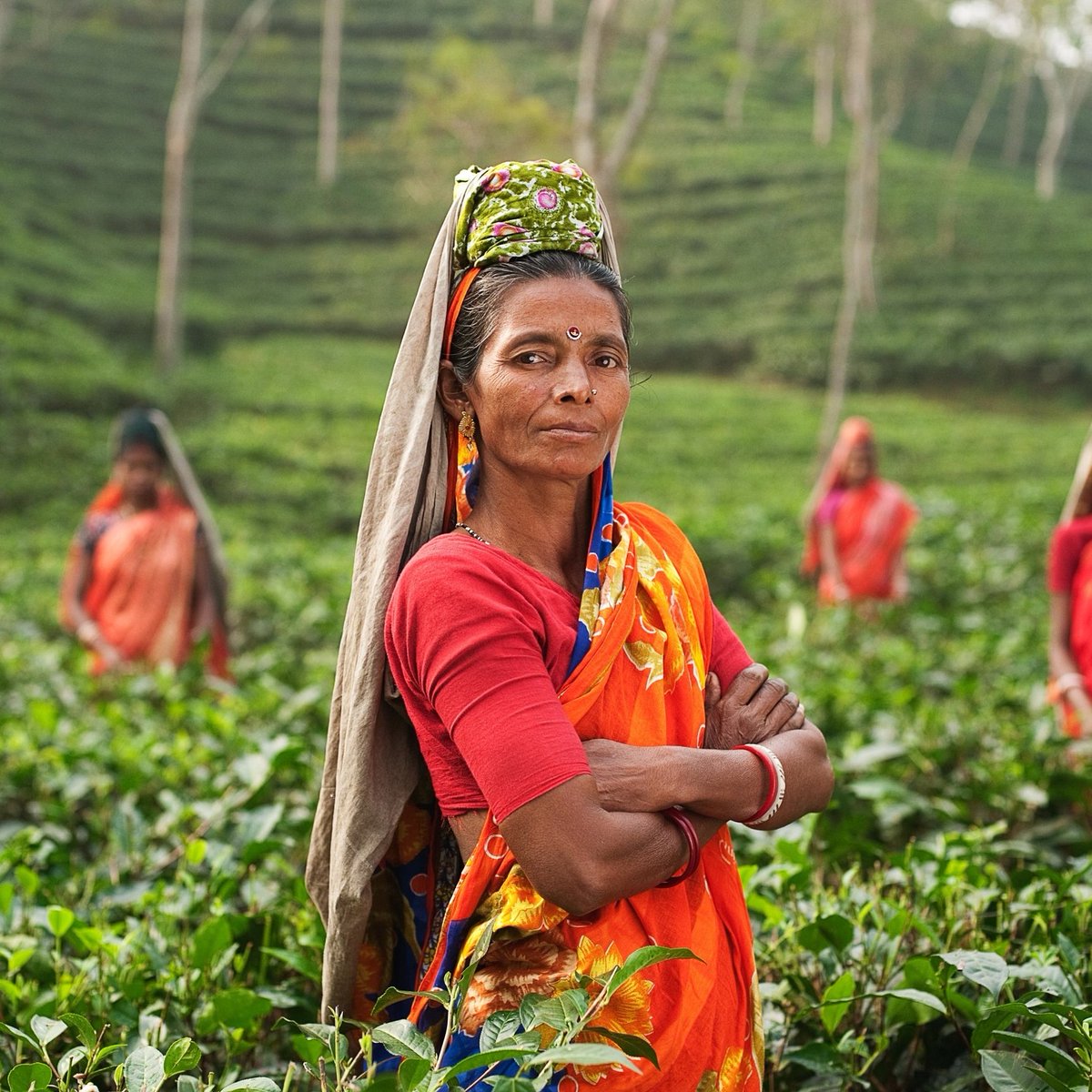 It's #InternationalWomensDay2022! As #AsiaPacific approaches #malariaelimination, lets continue to protect vulnerable ♀️. To understand #gender #gaps and potential #solutions for our region, read more in our brief ➡️: buff.ly/3pKIQci
 <a href="/PMNCH/">PMNCH</a> #BreakTheBias