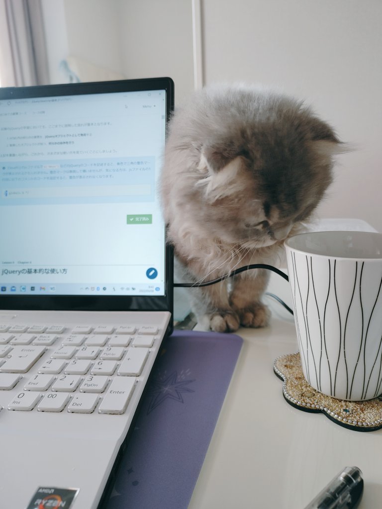 kokko713's tweet photo. #テックアカデミー

勉強を邪魔する猫 https://t.co/haSY1x1ek6