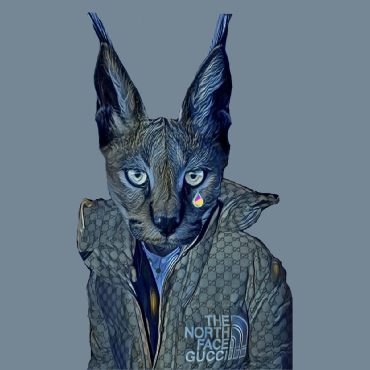 CaracalsN's tweet photo. Caracal Gucci x The north face https://t.co/iH5m8tboF4