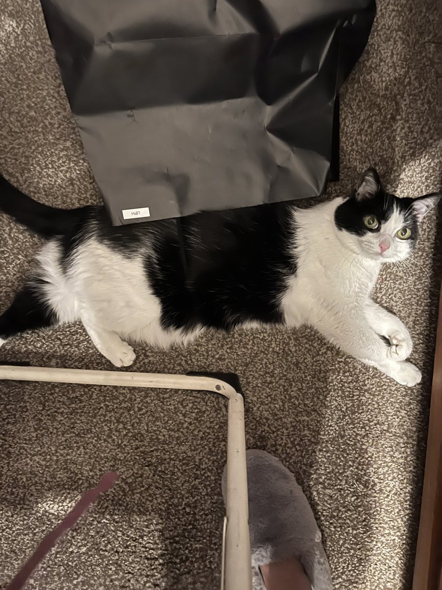 Eye Roll Hard tweet media