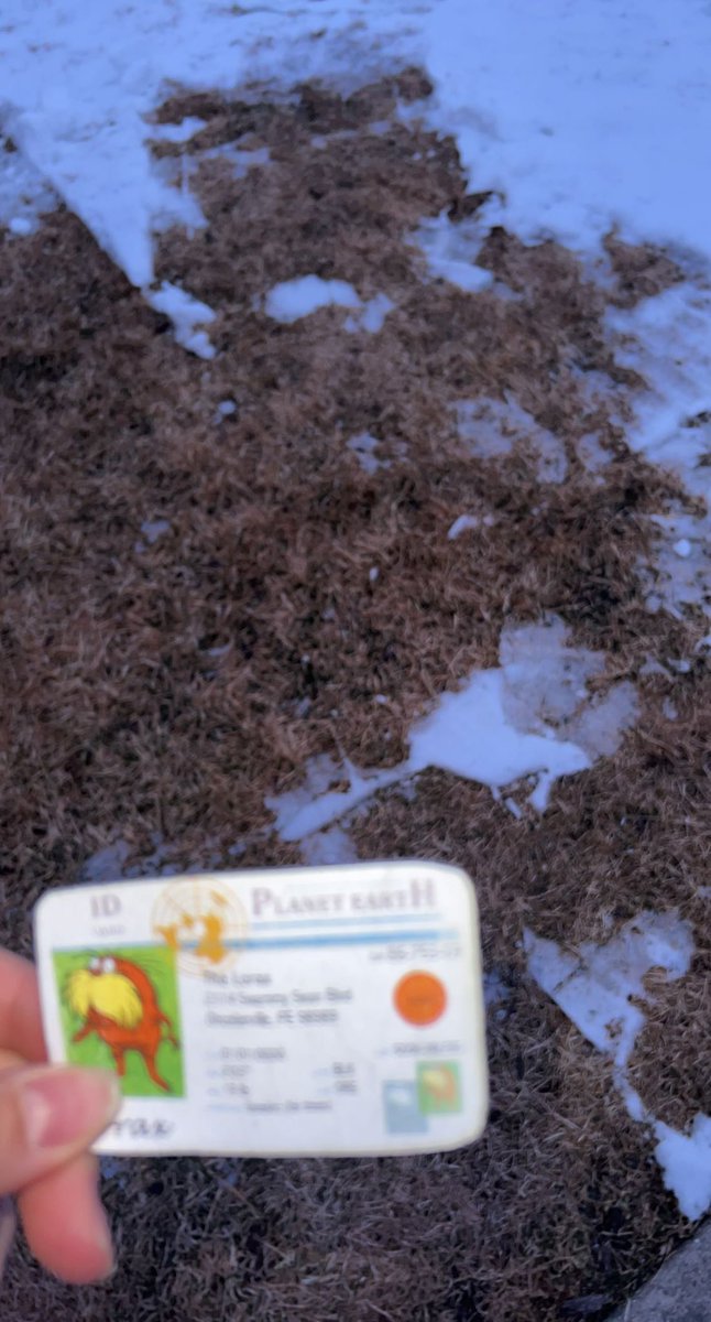 The top layer of the soil is the O horizon which is mainly made up of organic material, such as leaves or humus! #apesland <a href="/franklinlorax/">APES Project Lorax</a>