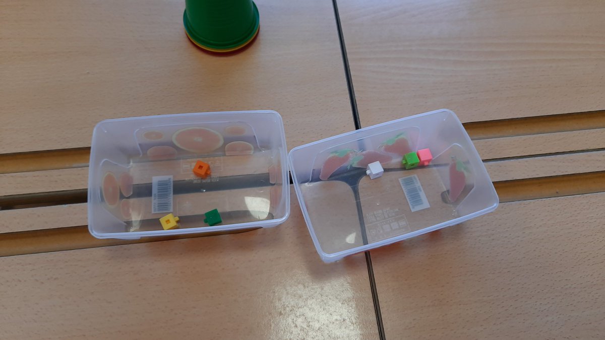 abralom's tweet photo. Las multiplicaciones hay que tocarlas, verlas y disfrutarlas‼️

#calasanzrota #segundotambiénmola #aprendizajemanipulativo #aprendertocando #aprendizajevisual #aprendizajesignificativo https://t.co/mTGTTiIjiS
