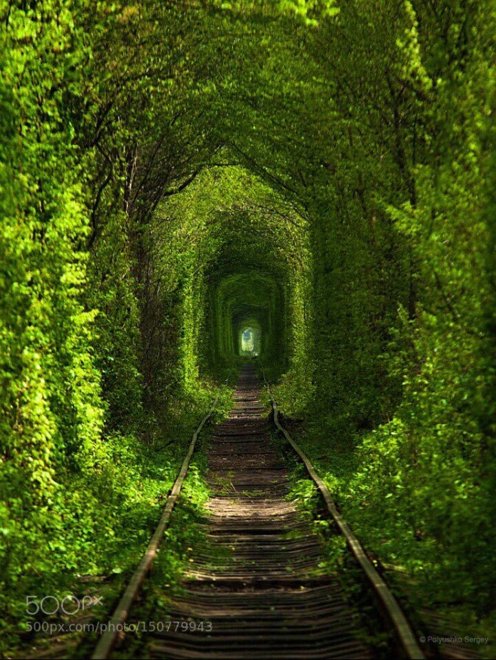 EnPaisaje's tweet photo. Al final del túnel siempre hay luz https://t.co/INbqkfOhQs
