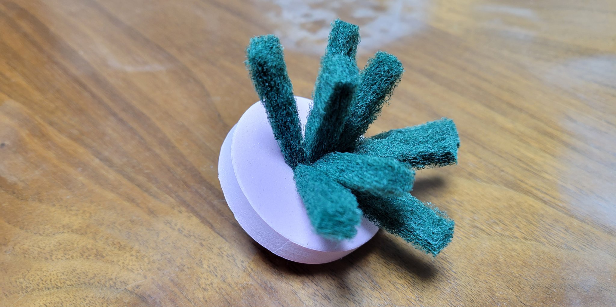 産卵床 Twitter Search Twitter