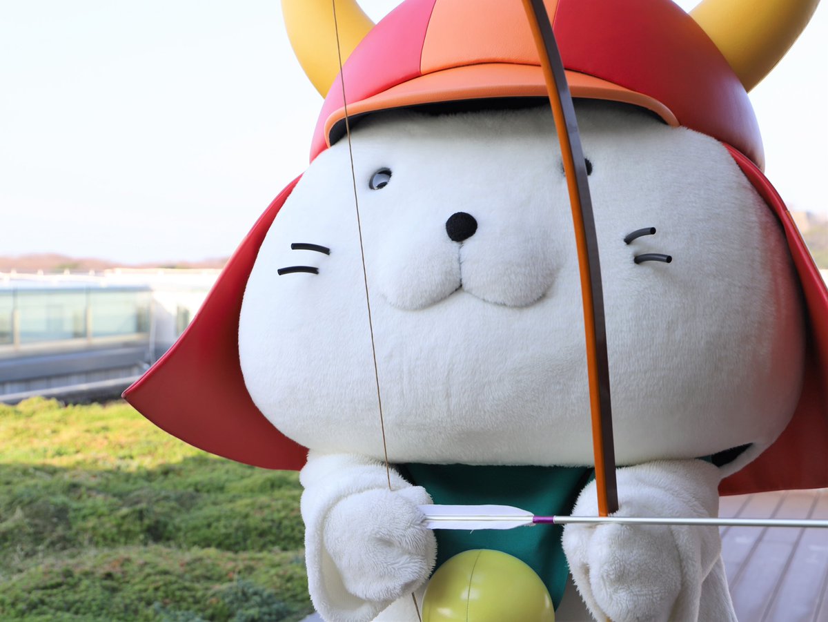 今週は弓道を体験するひこにゃんです！ おテテがプルプル震えながらも